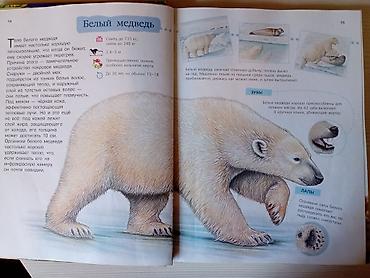 энциклопедия: Сказки, На русском языке, Б/у, Самовывоз — 3
