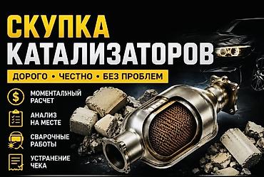 bcd com: Катализатор сатып алабыз,эн кымбат баада,Прием катализаторов дорого в — 2