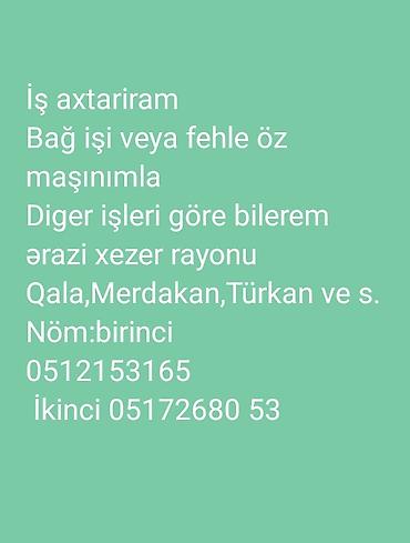 xadime axtarilir: Iş axtariram — 1