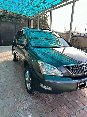 Lexus: Lexus RX: 2004 г., 3.3 л, Автомат, Бензин, Кроссовер — 4