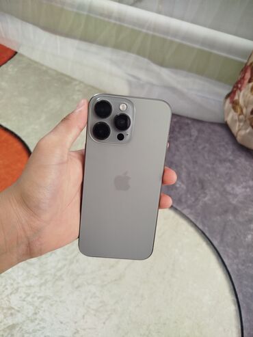 микрофон петля: IPhone 16 Pro Max, Natural Titanium