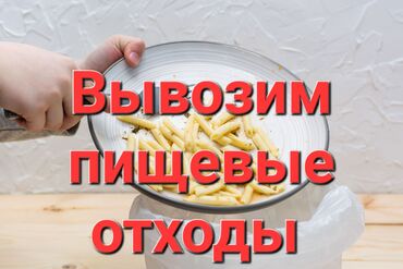 работа в бишкеке удаленно: Забираем пищевые отходы с кафе, ресторанов, детсадов, школ и т.д