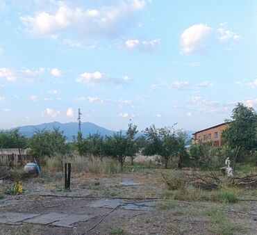 Продажа участков: 100 соток, Для сельского хозяйства, Красная книга, Тех паспорт, Договор купли-продажи — 8