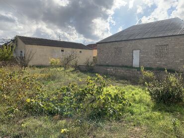 Bağ evlərinin satışı: Bakı, Albalı, 110 kv. m, 3 otaqlı, Hovuzsuz, Kanalizasiya, Qaz, Su -da lalafo.az — 4 Bağ evlərinin satışı: Bakı, Albalı, 110 kv. m, 3 otaqlı, Hovuzsuz, Kanalizasiya, Qaz, Su — 4