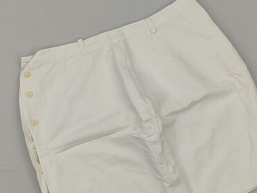 Women`s skirt, size L (EU 40)