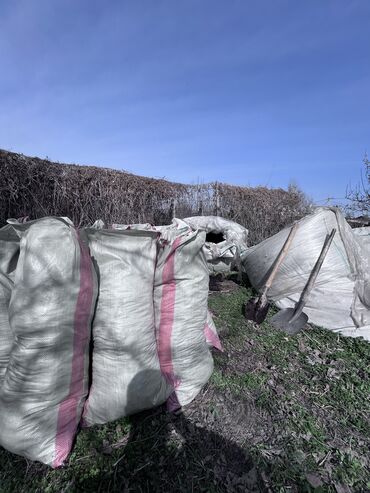 Перегной, навоз: В тоннах, Портер, Зил, Камаз — 4
