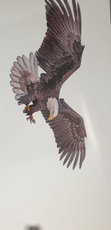 Натяжной потолок: Натяжной потолок Глянцевое, 3D потолки, Матовое — 7