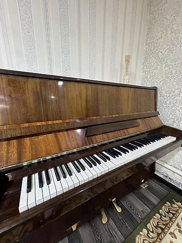 Музыкальные инструменты: Пианино акустическое, вертикальное (upright), корпус с отделкой под — 5