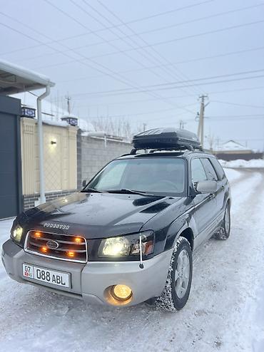 Subaru: Subaru Forester: 2004 г., 2.5 л, Типтроник, Газ, Внедорожник — 11