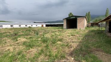 Сельхоз предприятия: 40 соток, Действующий, С оборудованием — 14