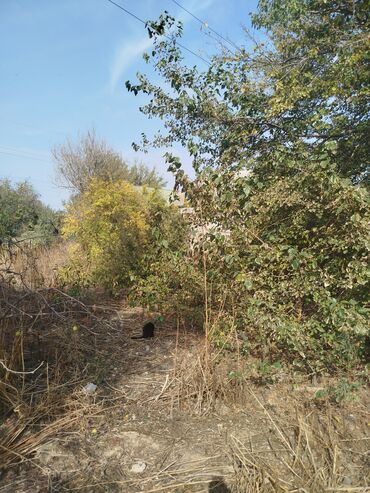 Həyət evləri və villaların satışı: 4 otaqlı, 140 kv. m, Kredit yoxdur, Yeni təmirli — 25