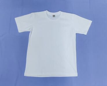 Футболки: Однотонные Футболки Плотность 300 г. / м Colour Футболки Оптом — 18