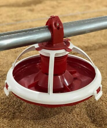 Qidalandırıcılar: Azim Tav Şirkəti sifarişlə quşçuluq fermalarında avto Yem xətləri, Su — 2