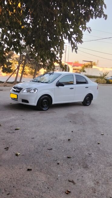 Chevrolet: Chevrolet Aveo sedan – ağ rəng, 4 qapılı, ön ötürücülü şəhər — 8