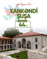 приюты для животных в баку: Туризм