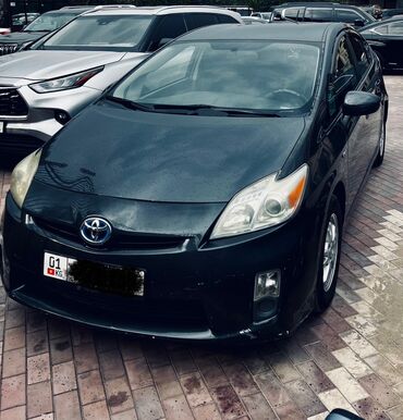 тойота сурф левый руль: Toyota Prius: 2010 г., 1.8 л, Вариатор, Гибрид, Хэтчбэк
