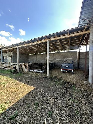 нижний токолдош: 📍 В Сокулукском районе в селе Тош- Булак продаётся усадьба у подножья — 5