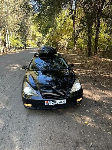 полики lexus nx: Lexus ES: 2003 г., 3 л, Автомат, Бензин, Седан — 7