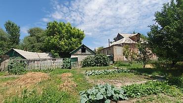 территория: Продаётся дом, с.Восток ул. Карла-Маркса. На территории имеется летняя — 8