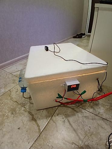 Kənd təssərüfatı avadanlığı: Məhsul: Sadə ev tipli inkubator Salam özüm yığmışam 40 toyuq — 2