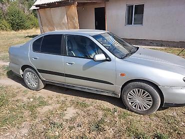 мин булак: Nissan Primera: 2000 г., 1.8 л, Кол менен иштөөчү, Бензин, Седан — 2