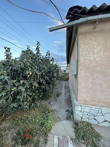 продаю через банк: Очень срочно продаем дом. Очень с большим участком 16 соток. Дом — 3