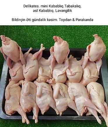 bıldırcın eti satışı: İstənilən çəkidə Bildirçin Əti alana Pulsuz ət və Hədiyyəmiz var. • 15 — 5