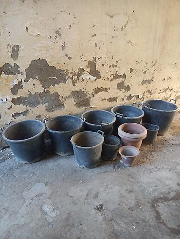 bezek bitkileri: 50 litr tutumlu Plastik dibçəklər satilir. Elastik materialdandi — 2