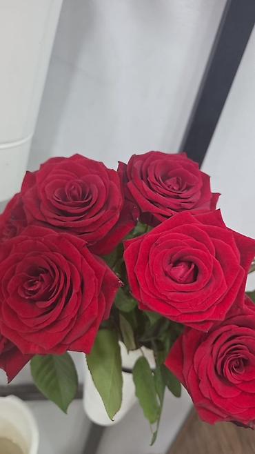 satıcı iş: Satış məsləhətçisi tələb olunur, Yalnız qadınlar üçün, Təcrübəsiz, İşəmuzd ödəniş — 2