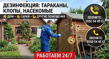дезинфекции: Дезинфекция, дезинсекция, | Блохи, Клопы, Муравьи, | Офисы, Подвал, погреб, Подъезды — 1