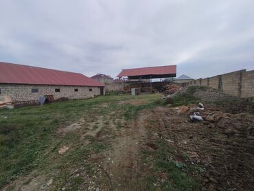 Anbar və emalatxanalar: Ferma/təsərrüfat sahəsi40 baş iri buynuzlu heyvan saxlanılması üçün — 2