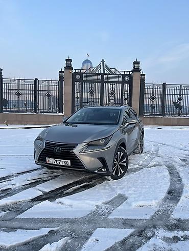 Lexus: Lexus NX: 2020 г., 2 л, Автомат, Бензин, Кроссовер — 1