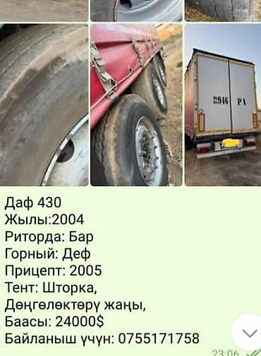 Тягачи: Тягач, DAF, 2004 г., Шторный — 10