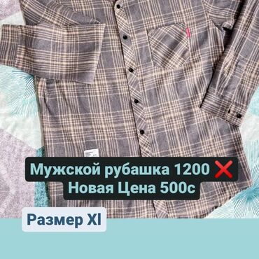 мятная рубашка мужская: Рубашка XL (EU 42)