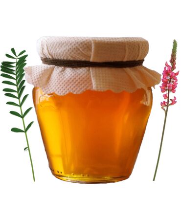 белый мед: Мёд Ысык-Кульский экспарцетовый 2024 года🍯. Кто пробовал в прошлом
