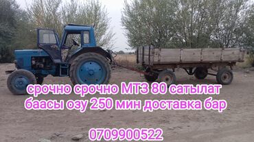 Тракторы МТЗ (Беларус): Модель 80, Б/у, 1980 г.