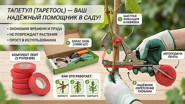 для растяжки спины: ​🌿 Профессиональный подвязчик растений (Тапетул) — ваш незаменимый — 1