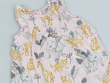 Dresses: Dress, H&M, 3-6 months, condition - Very good