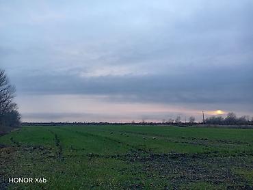 Torpaq sahələrinin satışı: 200 sot, Kənd təsərrüfatı, Texniki pasport — 3