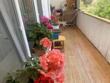 Köhnə tikili: Bakı, 4 otaqlı, Köhnə tikili, m. Xalqlar Dostluğu, 110 kv. m -da lalafo.az — 16 Köhnə tikili: Bakı, 4 otaqlı, Köhnə tikili, m. Xalqlar Dostluğu, 110 kv. m — 16