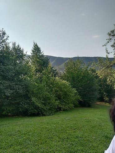 Torpaq sahələrinin satışı: 92 sot, Biznes üçün, Mülkiyyətçi, Kupça (Çıxarış), Bələdiyyə, Müqavilə — 11