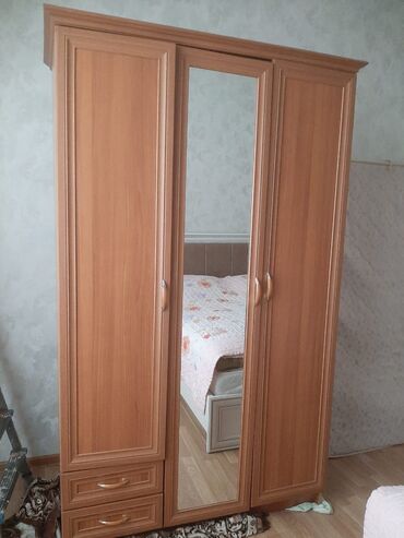 Otaq bitkiləri: İşlənmiş, Açılan, Düz dolab, Qarderob, paltar dolabı