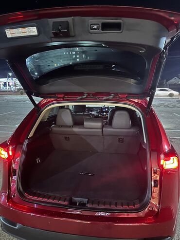 Lexus: Lexus NX: 2017 г., 2.5 л, Автомат, Гибрид, Кроссовер — 12