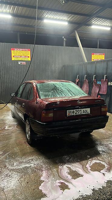 люк спринтер: Opel Vectra: 1992 г., 1.6 л, Механика, Бензин, Седан — 5