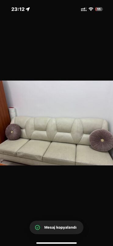 Bitkilər: Divan, İşlənmiş