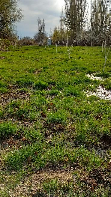 Продажа коттеджей и домов: 🏡Продаётся дом с участком в живописном селе Кара-Ой, на побережье — 16