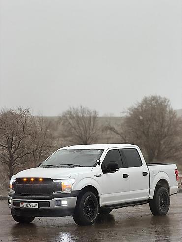 Ford: Ford F-150: 2019 г., 3.5 л, Автомат, Бензин, Пикап — 3