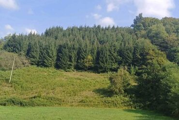 Kuće na prodaju: 80 kv. m, 4 sobe — 6