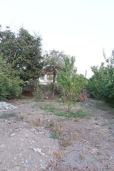 Продажа коттеджей и домов: 3 комнаты, 96 м², 7 соток, Джал, Риэлтор — 11