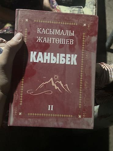 Спорт жана хобби: Подборка книг (разные жанры и языки): - Международный год гор — — 2